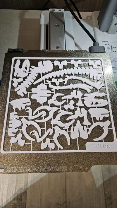 https://makerworld.bblmw.com/makerworld/model/199388/359404/ratings/7c31d870-310e-11f0-a0c0-b92a5c62bbca.jpg