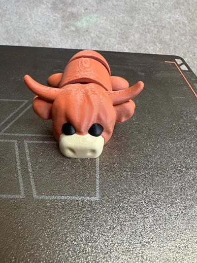 https://makerworld.bblmw.com/makerworld/model/1994150/2146338/ratings/1bc7aba0-f6fb-11f0-8187-4d67c566f8e9.jpg