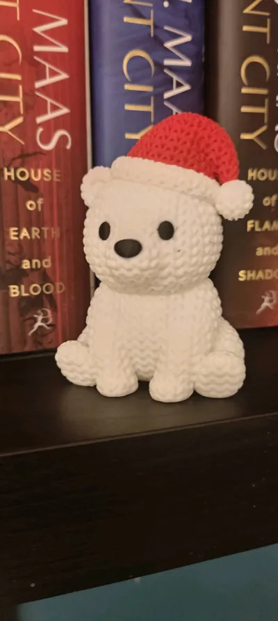 https://makerworld.bblmw.com/makerworld/model/1999190/2152351/ratings/b9dba690-db97-11f0-82af-3754420481fc.jpg