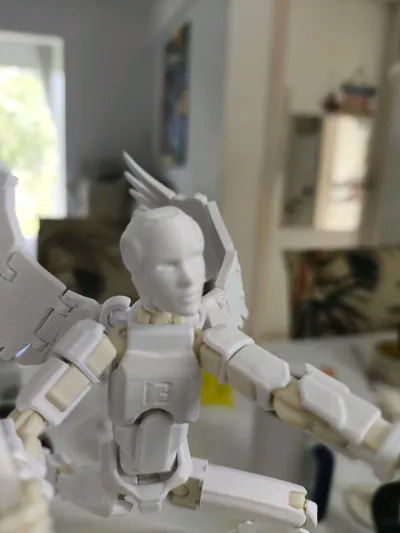 https://makerworld.bblmw.com/makerworld/model/2000042/2153402/ratings/476aff90-d1d1-11f0-ba26-251911659121.jpg
