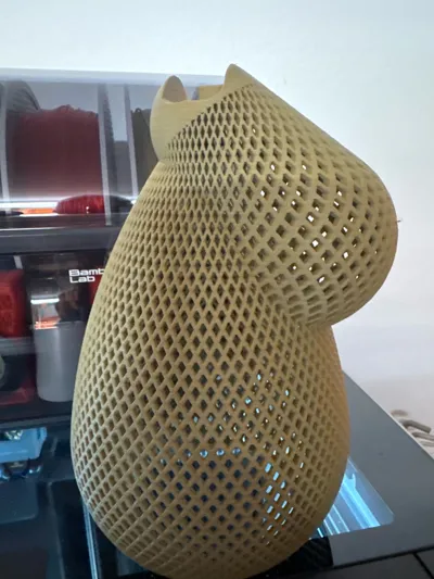 https://makerworld.bblmw.com/makerworld/model/2000192/2158318/ratings/f9cc0ec0-e1dc-11f0-a7bd-6d3896230019.jpg