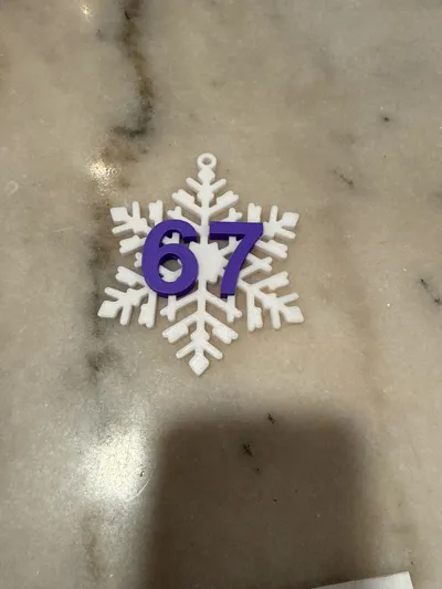 https://makerworld.bblmw.com/makerworld/model/2000281/2153690/ratings/442960f0-d204-11f0-97ec-affbfc7a0664.jpg