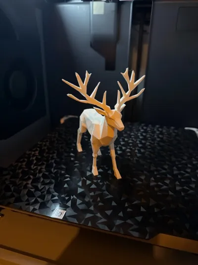 https://makerworld.bblmw.com/makerworld/model/2001182/2154751/ratings/1db39c50-c3e6-11f0-92e2-f59d74ac4974.jpg