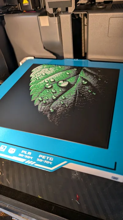 https://makerworld.bblmw.com/makerworld/model/200244/220732/ratings/a5adf330-edcb-11f0-ad46-9d5e626f7bae.jpg