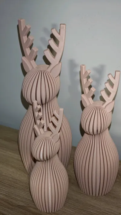 https://makerworld.bblmw.com/makerworld/model/2003920/2157911/ratings/478d31a0-d0e1-11f0-977c-49a93276de84.jpg