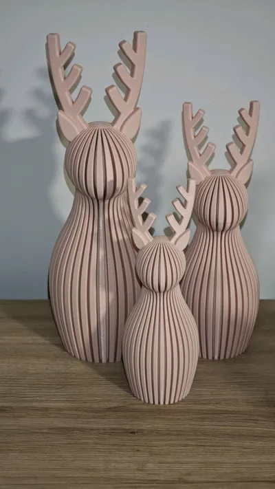 https://makerworld.bblmw.com/makerworld/model/2003920/2157911/ratings/478d7fc0-d0e1-11f0-977c-49a93276de84.jpg