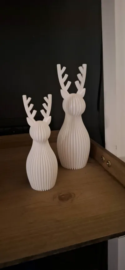 https://makerworld.bblmw.com/makerworld/model/2003920/2157911/ratings/c4c2cb20-e8cf-11f0-8dd3-b54e8557d9ef.jpg