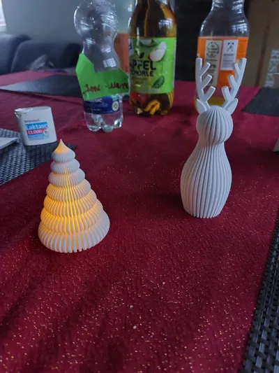 https://makerworld.bblmw.com/makerworld/model/2003920/2185191/ratings/b0cbdd60-d910-11f0-94d6-8338129dc5d2.jpg