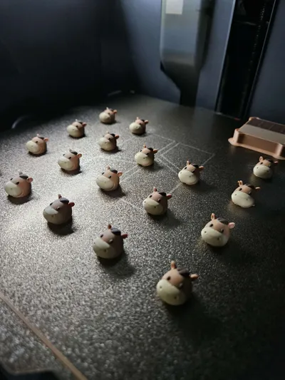 https://makerworld.bblmw.com/makerworld/model/2003993/2158004/ratings/e1213970-c3c5-11f0-8e1e-65969cbf4bde.jpg