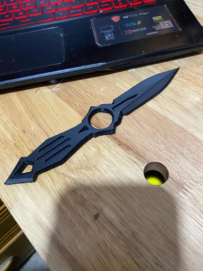 https://makerworld.bblmw.com/makerworld/model/2004268/2158335/ratings/ddfa2250-c8c7-11f0-9b14-9b3d08b012e9.jpg