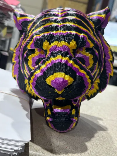 https://makerworld.bblmw.com/makerworld/model/2004630/2158756/ratings/b65e04f0-c935-11f0-a1e8-95d2946b2fb2.jpg
