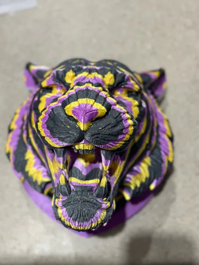 https://makerworld.bblmw.com/makerworld/model/2004630/2158756/ratings/b65e5310-c935-11f0-a1e8-95d2946b2fb2.jpg