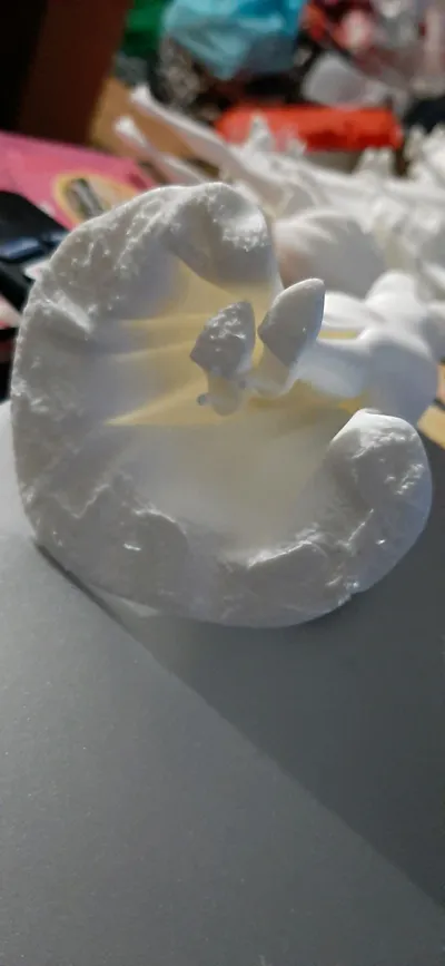 https://makerworld.bblmw.com/makerworld/model/2005428/2159719/ratings/de6dab70-c373-11f0-8c9b-0530d85d166a.jpg