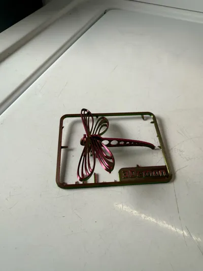 https://makerworld.bblmw.com/makerworld/model/200656/230134/ratings/cb385d40-6034-11f0-a032-511c63cc2764.jpg