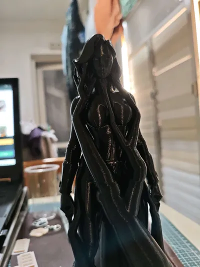https://makerworld.bblmw.com/makerworld/model/2006913/2161480/ratings/f3ce1b30-c503-11f0-836f-ff93ce6013e5.jpg