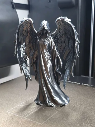 https://makerworld.bblmw.com/makerworld/model/2008380/2163263/ratings/de8d92e0-e0e8-11f0-a0b9-1b8e068f6f26.jpg