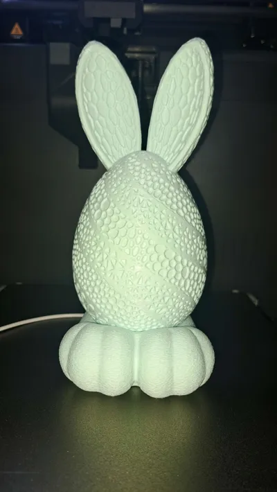 https://makerworld.bblmw.com/makerworld/model/201119/221507/ratings/5f5779b0-10c7-11f0-8332-ff38839cf8b2.jpg