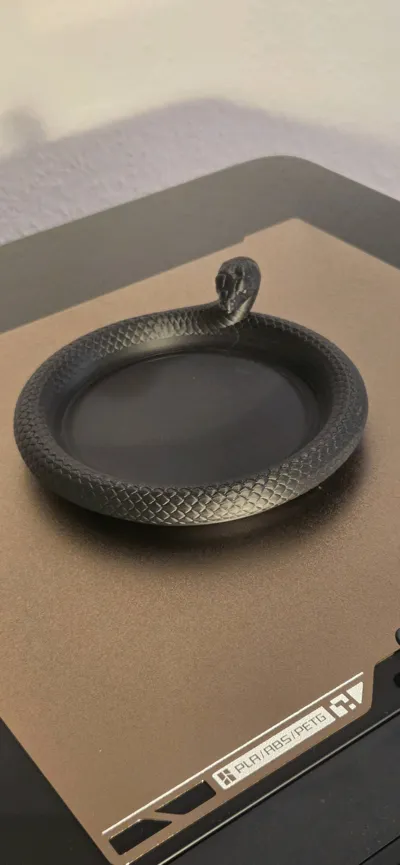 https://makerworld.bblmw.com/makerworld/model/2012828/2168535/ratings/00d518b0-e5a7-11f0-8e43-d598cbdf0b36.jpg