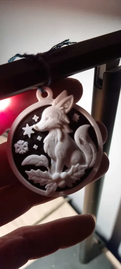 https://makerworld.bblmw.com/makerworld/model/2016611/2172895/ratings/0ada6f20-f7c9-11f0-bffd-a50d59c240c9.jpg