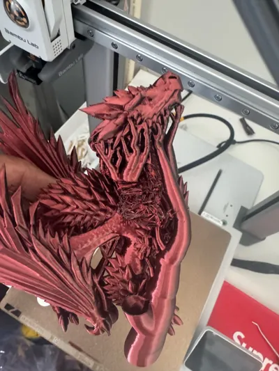 https://makerworld.bblmw.com/makerworld/model/2018925/2175561/ratings/7cae4070-d83b-11f0-88f5-0f197e5ddb7f.jpg