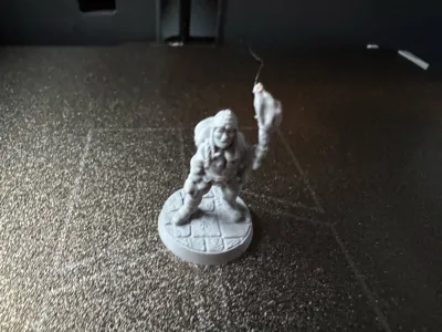 https://makerworld.bblmw.com/makerworld/model/202278/419217/ratings/4157f500-18c6-11f0-a4cf-a7423c64d732.jpg