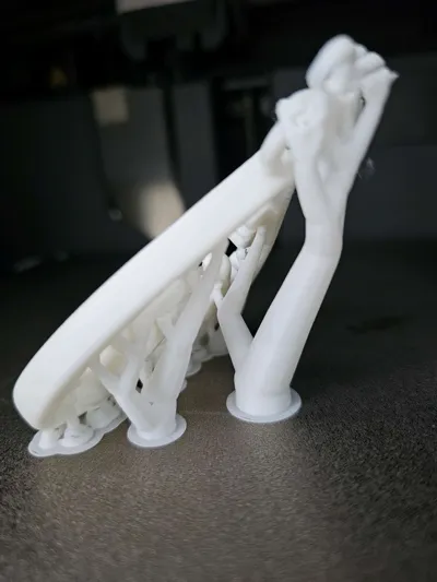 https://makerworld.bblmw.com/makerworld/model/2023096/2180797/ratings/1e833000-da9d-11f0-b9ef-1fbfba3e9cad.jpg