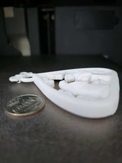 https://makerworld.bblmw.com/makerworld/model/2023096/2180797/ratings/1e8ec8c0-da9d-11f0-b9ef-1fbfba3e9cad.jpg