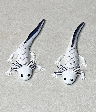 https://makerworld.bblmw.com/makerworld/model/2023126/2180833/ratings/25d72a70-ca83-11f0-87ff-731b5c38a52a.jpg
