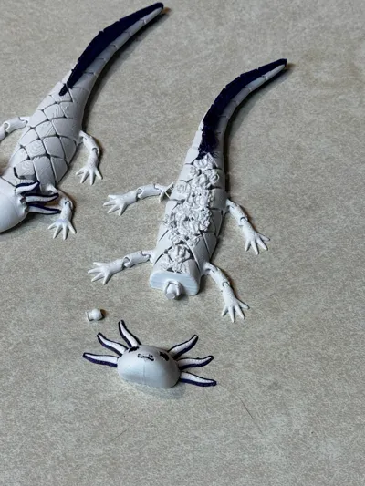 https://makerworld.bblmw.com/makerworld/model/2023126/2180833/ratings/25f6e770-ca83-11f0-87ff-731b5c38a52a.jpg
