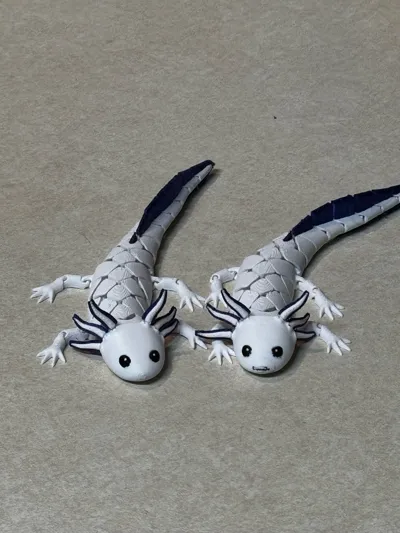 https://makerworld.bblmw.com/makerworld/model/2023126/2180833/ratings/25f95870-ca83-11f0-87ff-731b5c38a52a.jpg