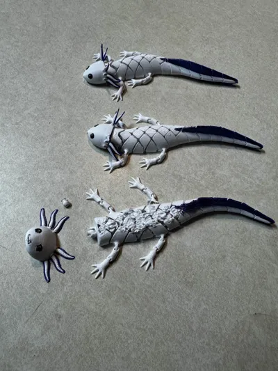 https://makerworld.bblmw.com/makerworld/model/2023126/2180833/ratings/260a4860-ca83-11f0-87ff-731b5c38a52a.jpg