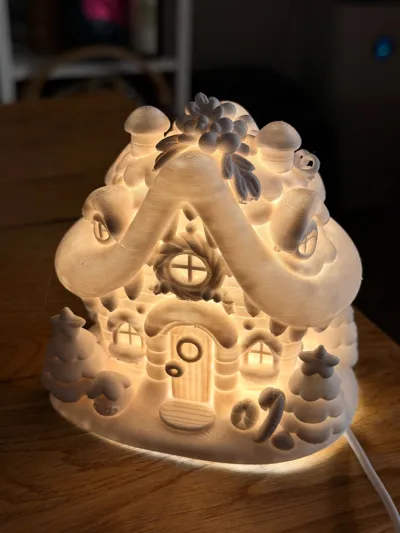 https://makerworld.bblmw.com/makerworld/model/2023651/2181416/ratings/60183d40-c985-11f0-82ec-5d2f7e24d339.jpg