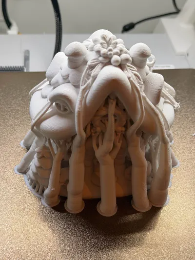 https://makerworld.bblmw.com/makerworld/model/2023651/2181416/ratings/602e8460-c985-11f0-82ec-5d2f7e24d339.jpg