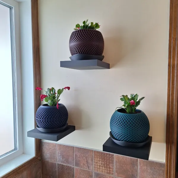https://makerworld.bblmw.com/makerworld/model/20260123/3631265985/153aaa0d59b43140.jpeg