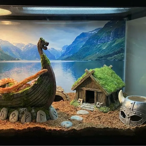 https://makerworld.bblmw.com/makerworld/model/20260124/3620957277/b891e3e615d83482.jpg