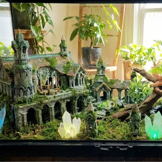 https://makerworld.bblmw.com/makerworld/model/20260124/3620957277/c2321f27d735d0e9.jpg