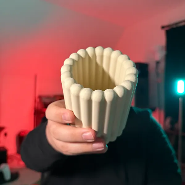 https://makerworld.bblmw.com/makerworld/model/20260129/1858714723/a17faea89173bf47.jpg