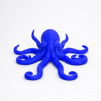 Model octopus