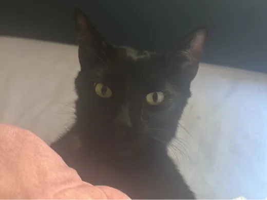 https://makerworld.bblmw.com/makerworld/model/20260131/222030257/0e705e5154a77707.jpg