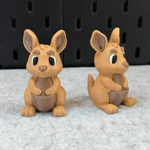 https://makerworld.bblmw.com/makerworld/model/20260201/3239628786/9e4d220ab50b2229.webp