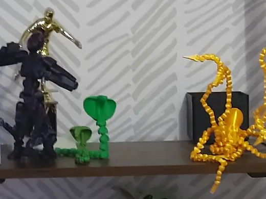 https://makerworld.bblmw.com/makerworld/model/20260207/2272870637/35f53b1ba541b3cb.jpg