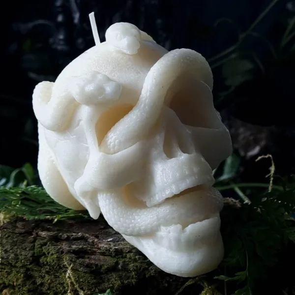 https://makerworld.bblmw.com/makerworld/model/20260208/1323272445/3b5dd3d98fe1c453.jpg