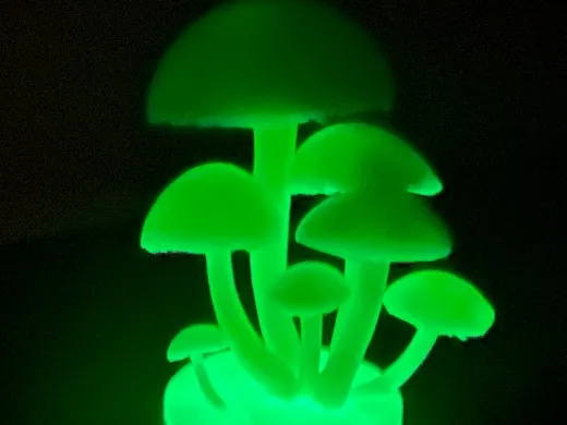https://makerworld.bblmw.com/makerworld/model/20260210/2749763076/ca13f472e41263cf.jpg