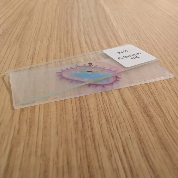 https://makerworld.bblmw.com/makerworld/model/20260216/2454529372/4b0ce18a89296aa8.jpg
