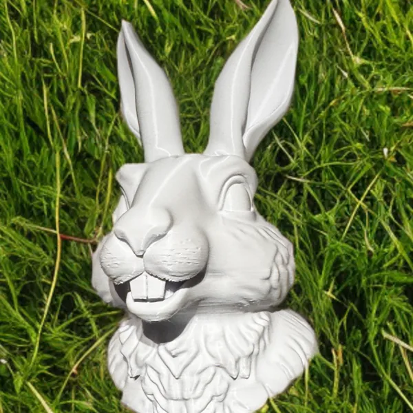 https://makerworld.bblmw.com/makerworld/model/20260221/2475881615/125d326ec991700f.png
