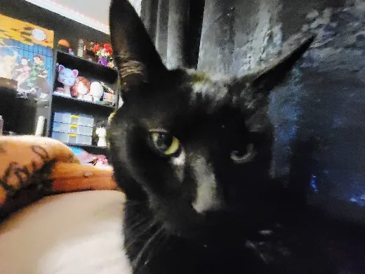 https://makerworld.bblmw.com/makerworld/model/20260225/1694492117/d5d966f4bef6fad8.jpg