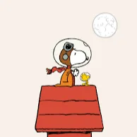 Snoopy Stuff