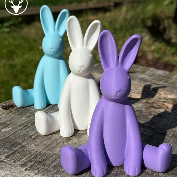 https://makerworld.bblmw.com/makerworld/model/20260305/3535571310/31ec576d24b5efd4.png