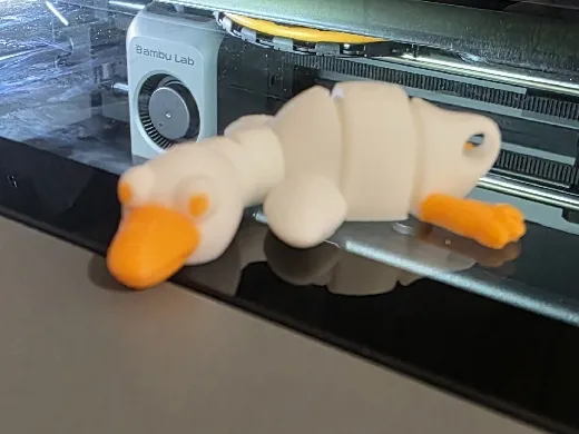 https://makerworld.bblmw.com/makerworld/model/20260309/2483042853/b5b4095d7d303951.jpg