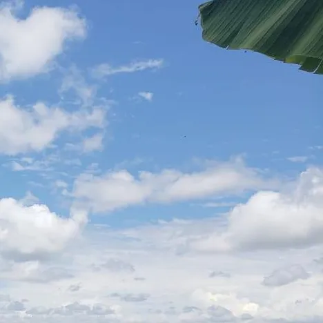 https://makerworld.bblmw.com/makerworld/model/20260310/1320751031/2941abe801fc7c4a.jpg